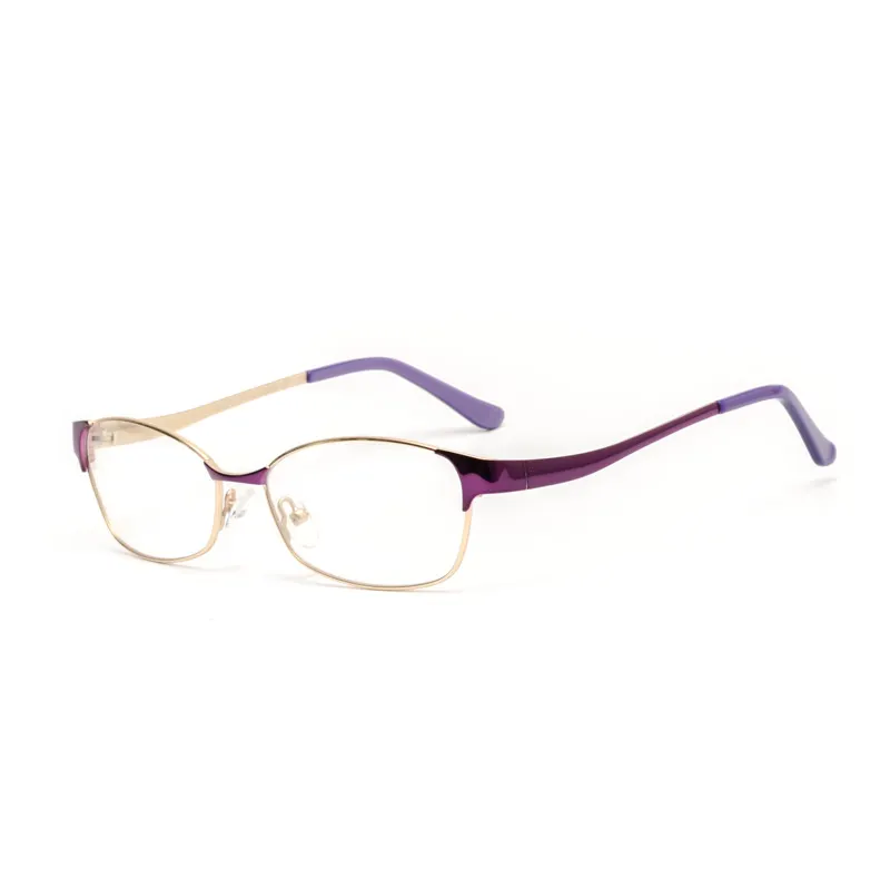 Round Panto Full-Rim Optical Frame – Tortoise & Clear Style 9029