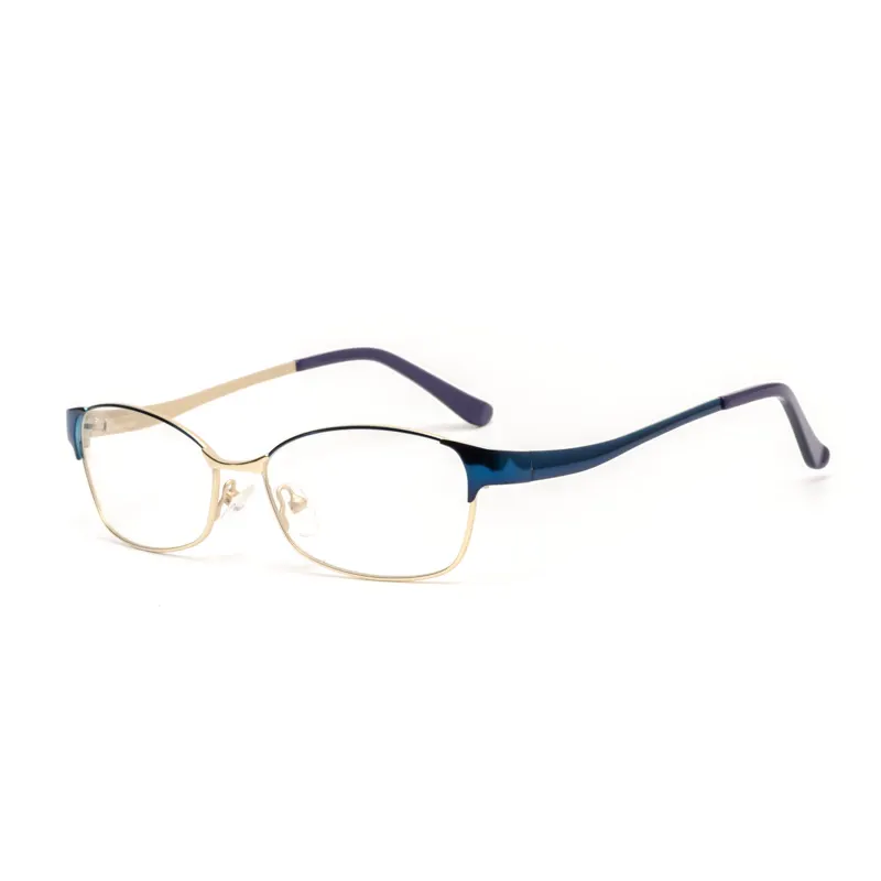 Round Panto Full-Rim Optical Frame – Tortoise & Clear Style 9029